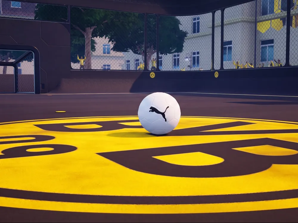 Puma match ball, close up